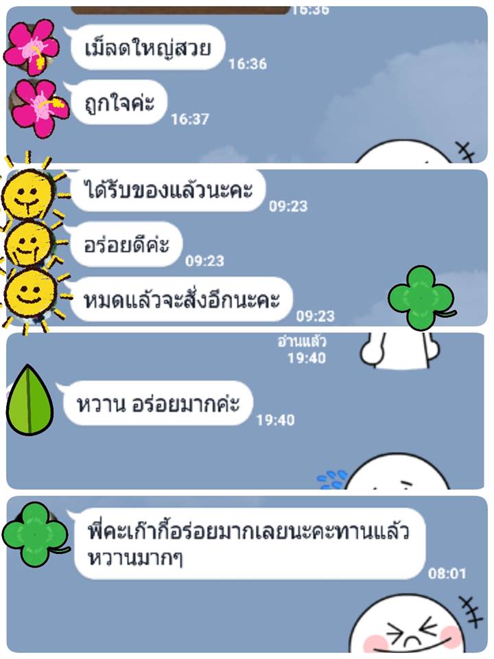 โกจิเบอร์รี่
