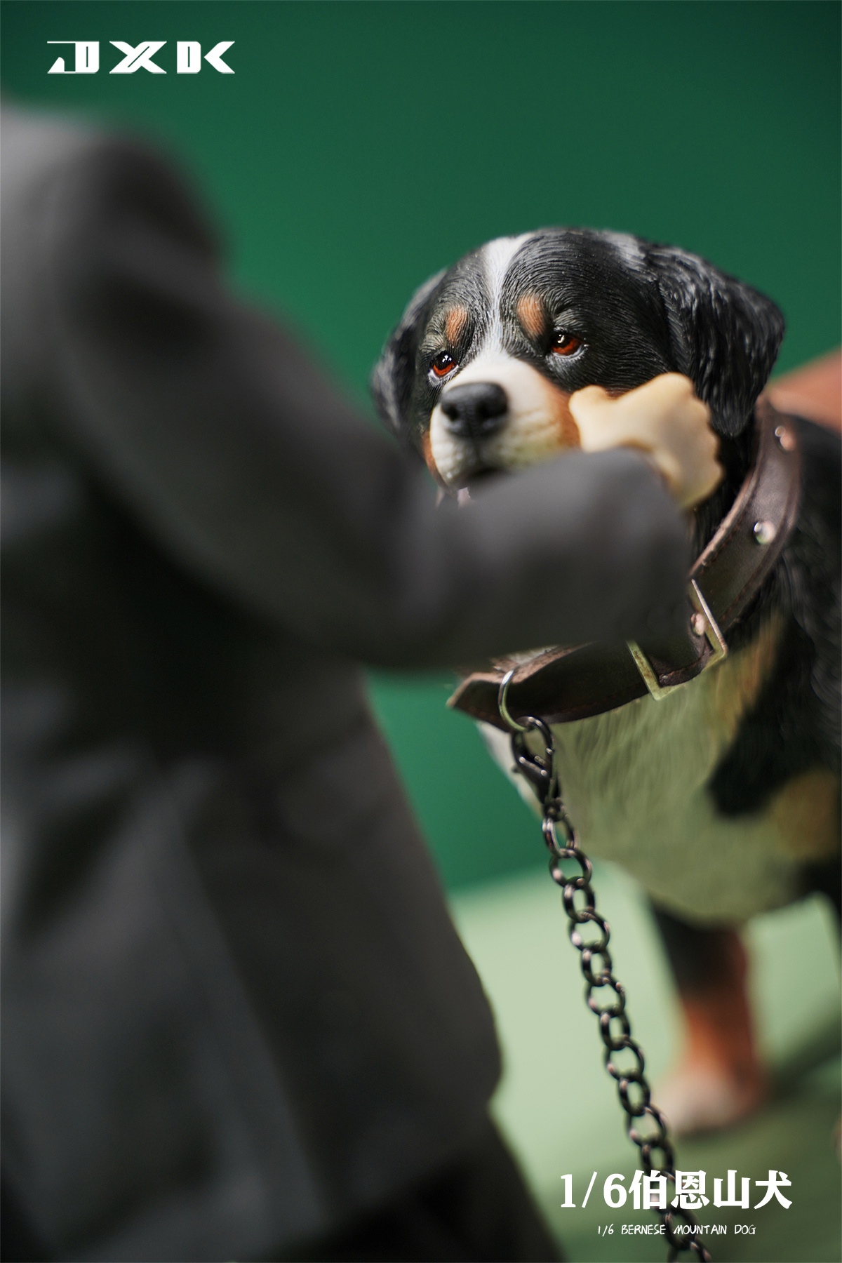 [สั่งจอง]JXK JXK144 1/6 : Bernese Mountain Dog