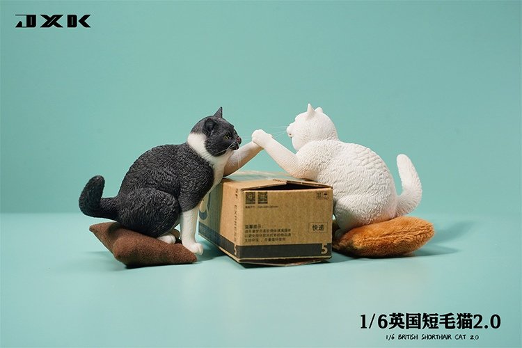 [สั่งจอง]JXK JXK127 1/6 : British Shorthair 2.0
