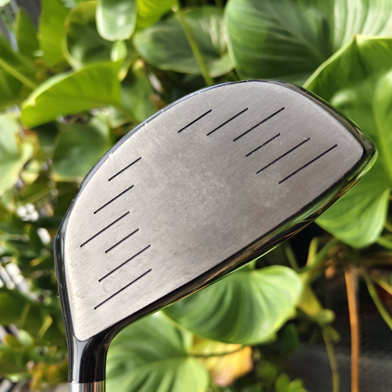 Driver ตัวช่วยตีง่าย! KASCO D-MAX AR รุ่นเหลี่ยมเพชร ตีไกลมากกกกก!