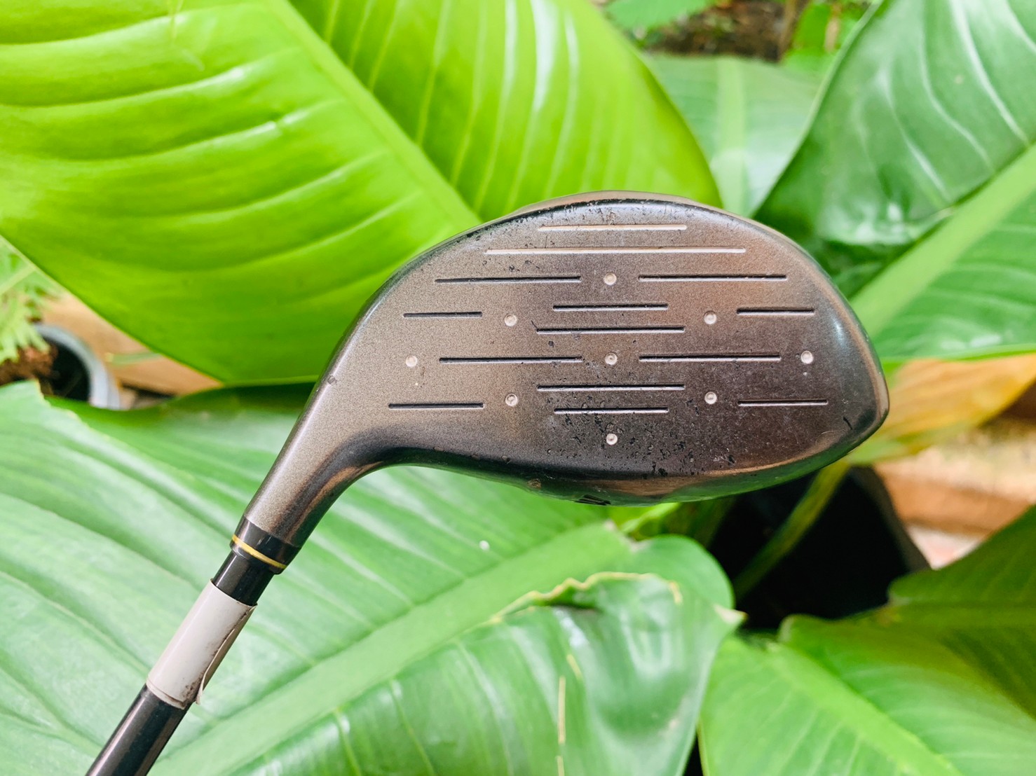 DRIVER 1 MIZUNO ZOID