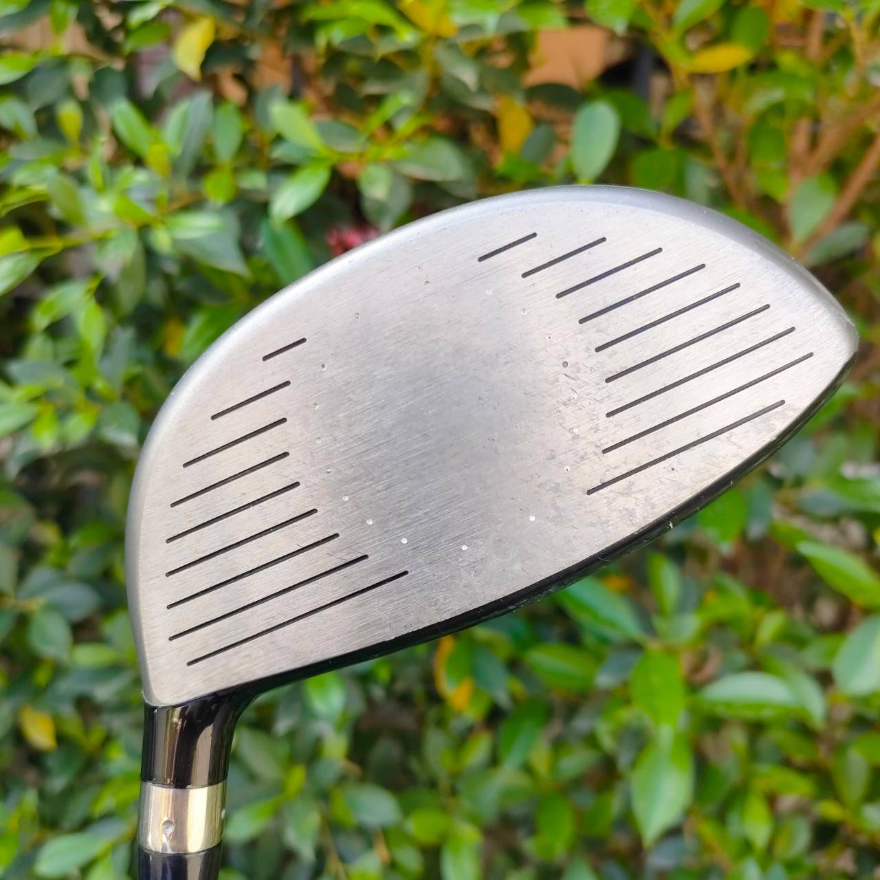 DRIVER NIKE SQ SUMO2 องศา 9.5 ก้าน DIAMANA FLEX S ชดเชยความปิดพลาดได้สูงมากๆ