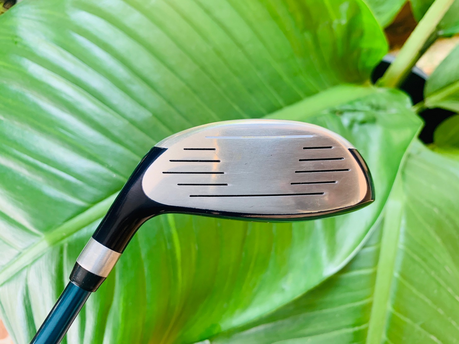 ไม้กอล์ฟครบชุดมือสอง PROKENNEX