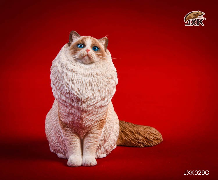 [สั่งจอง] JxK.Studio 1/6 Jxk029/ Jxk030 A/B/C/D -Ragdoll / British Shorthair Cat