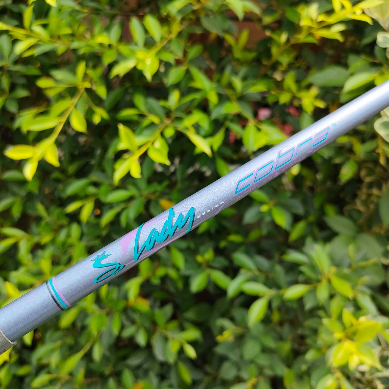 ** ไม้กอล์ฟสำหรับผู้หญิง ** SW KING COBRA LADY ก้าน KING COBRA FLEX L องศา 56 ชิพง่ายๆ นุ่ม ตกหยุด