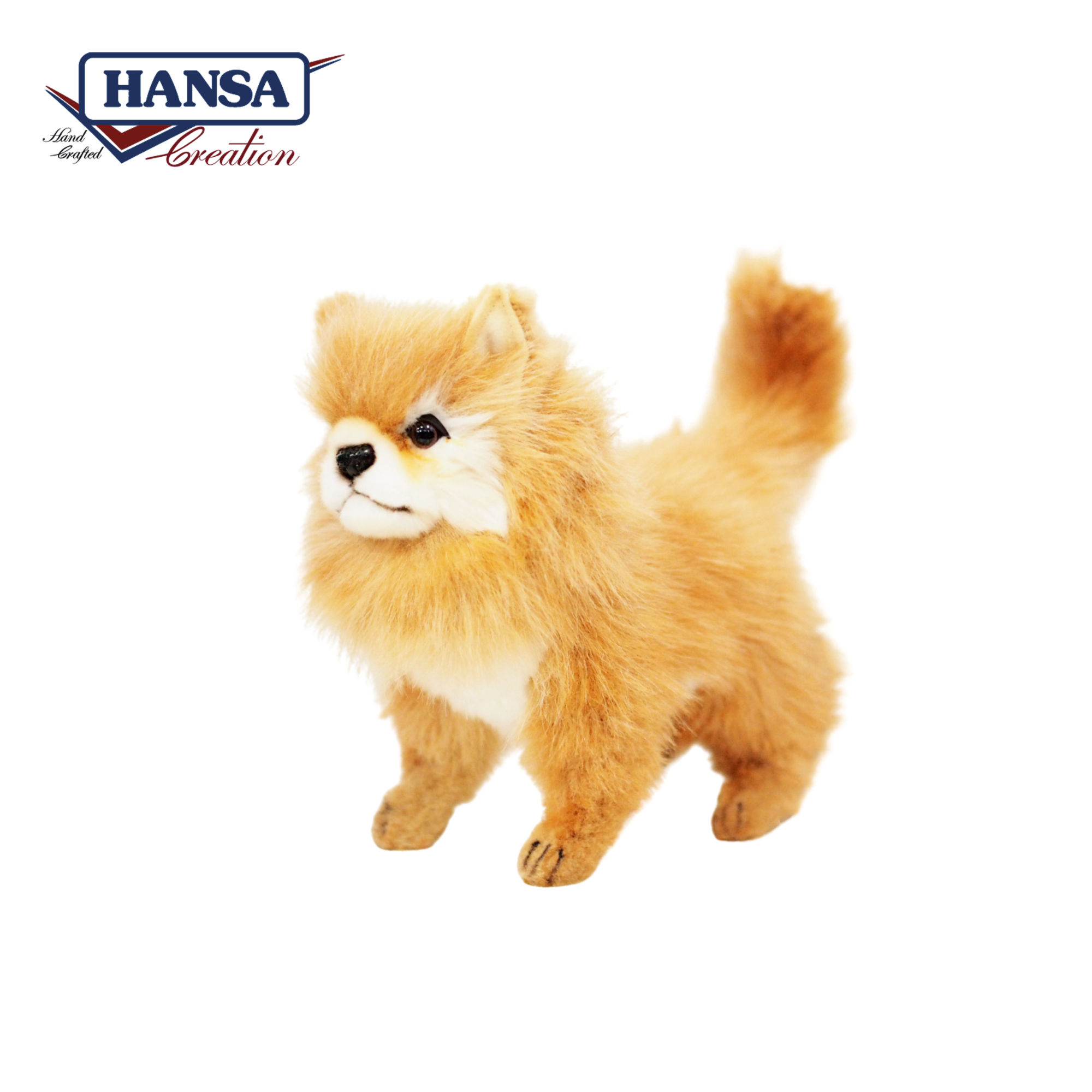 7591 Pomeranian Dog 23cm.H