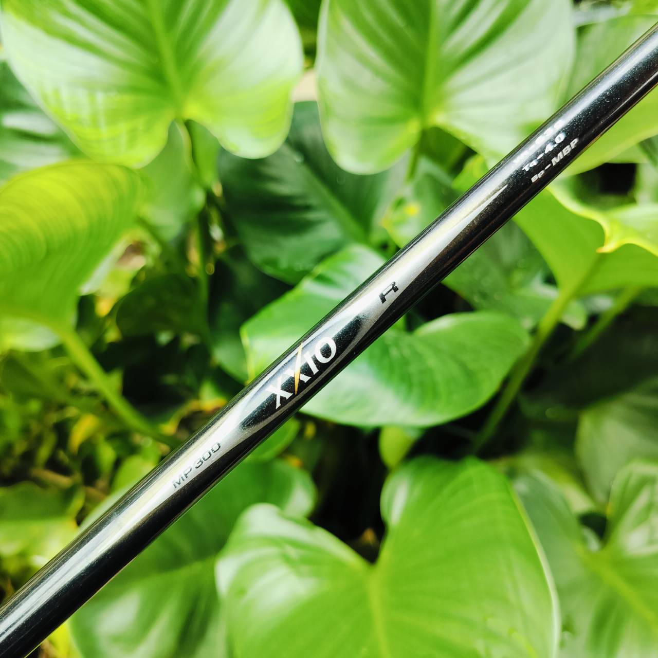 เหล็ก 8 XXIO หน้าเด้ง!!! IMPACT POWER BODY ก้าน MP300 FLEX R ตีไกลมากกว่าเหล็กทั่วไป และตีง่ายมาก CAVITY ลึก วัสดุพรีเมี่ยมญี่ปุ่น ฟีลลิ่งดีมาก ไม้กอล์ฟพรีเมี่ยมมือสอง ของแท้ By NakaraLuxurious