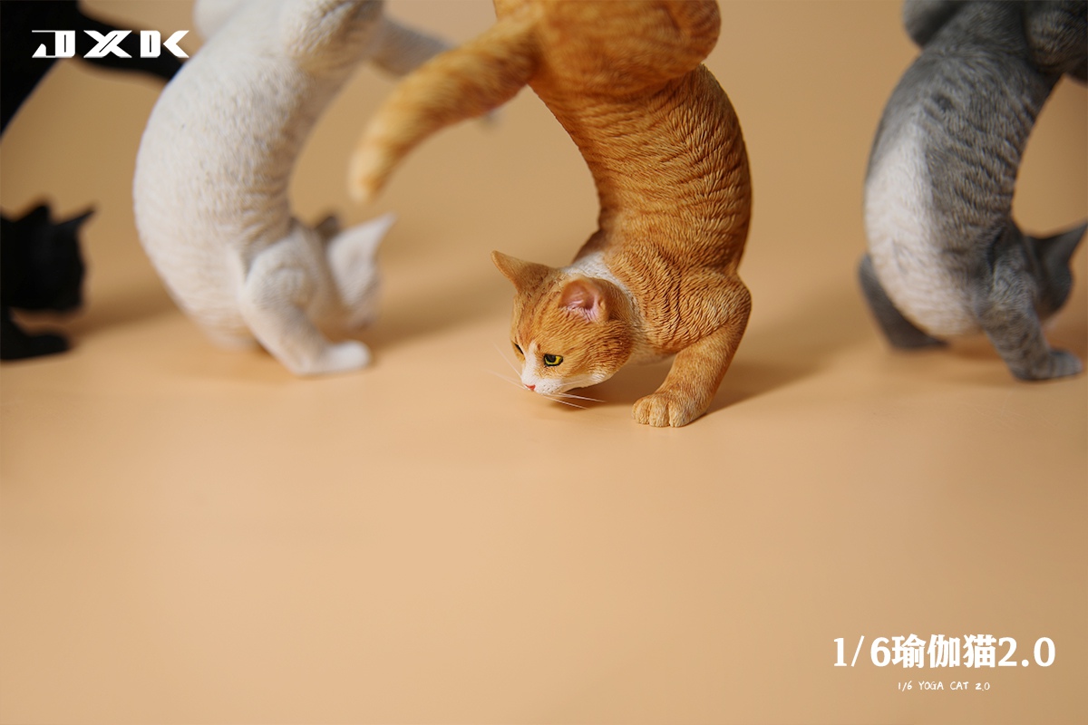 [สั่งจอง]JXK JXK151 1/6 : Yoga Cat 2.0