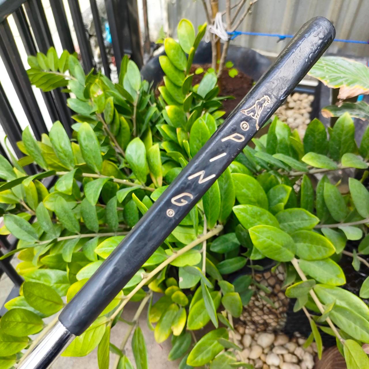 PUTTER PING ZING2 ความยาว 36 นิ้ว ช่วยแก้ปัญหาการพัตต์ตบโดยเฉพาะ เสถียรมาก ของดี วัสดุดี คลาสสิค ไม้กอล์ฟพรีเมี่ยมมือสอง By NakaraLuxurious