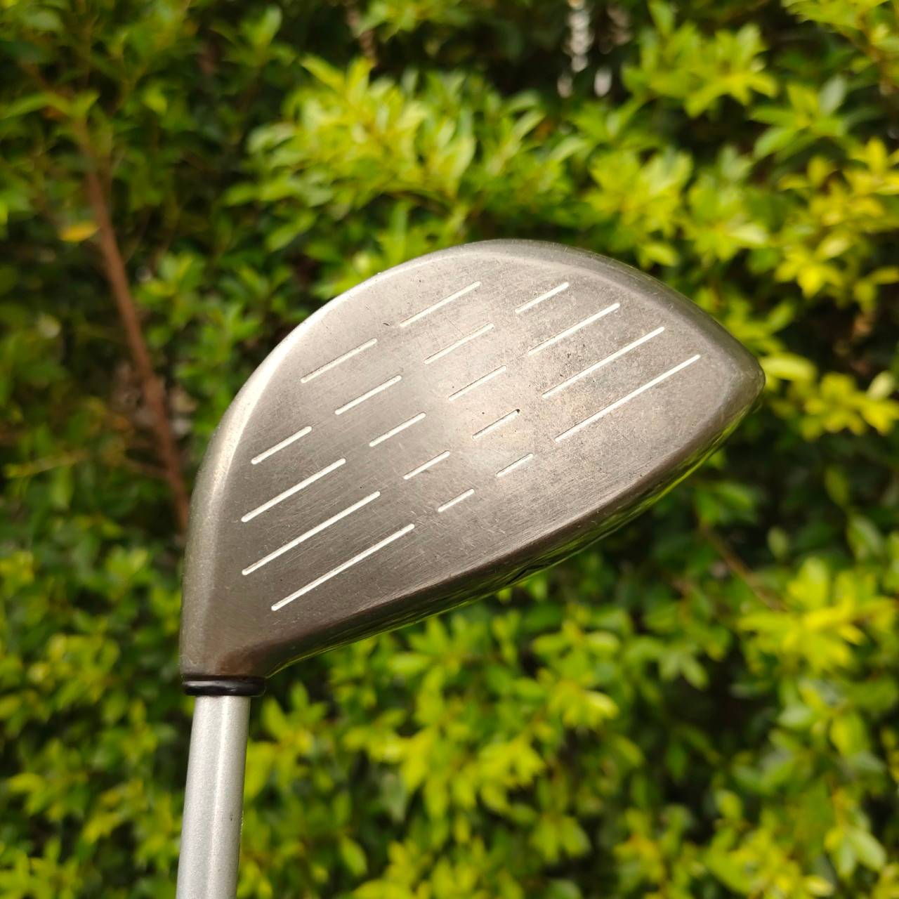 DRIVER CALLAWAY BIGGEST องศา10 ก้าน BIGGEST FLEX R เป็นตัวหัวใหญ่สุดในรุ่น หัว TITANIUM ตีไกลมาก ตีดีมากๆ คลาสสิค