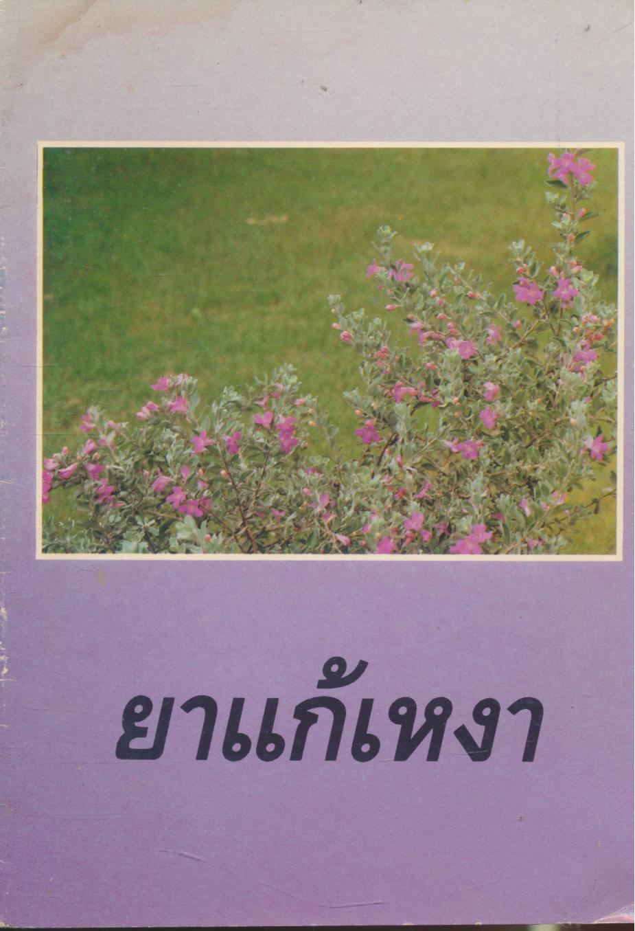 ยาแก้เหงา