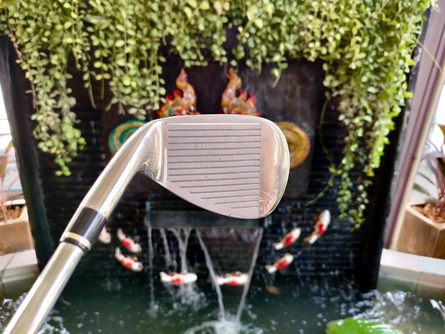 WEDGE WILSON STAFF NC6