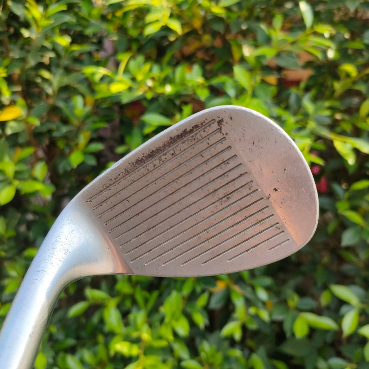 SW MIZUNO TZOID COMP EZ ก้าน N.S.PRO 950GH WEDGE FLEX องศา 56 FORGED ญี่ปุ่น นุ่ม + สปินดีมากครับ