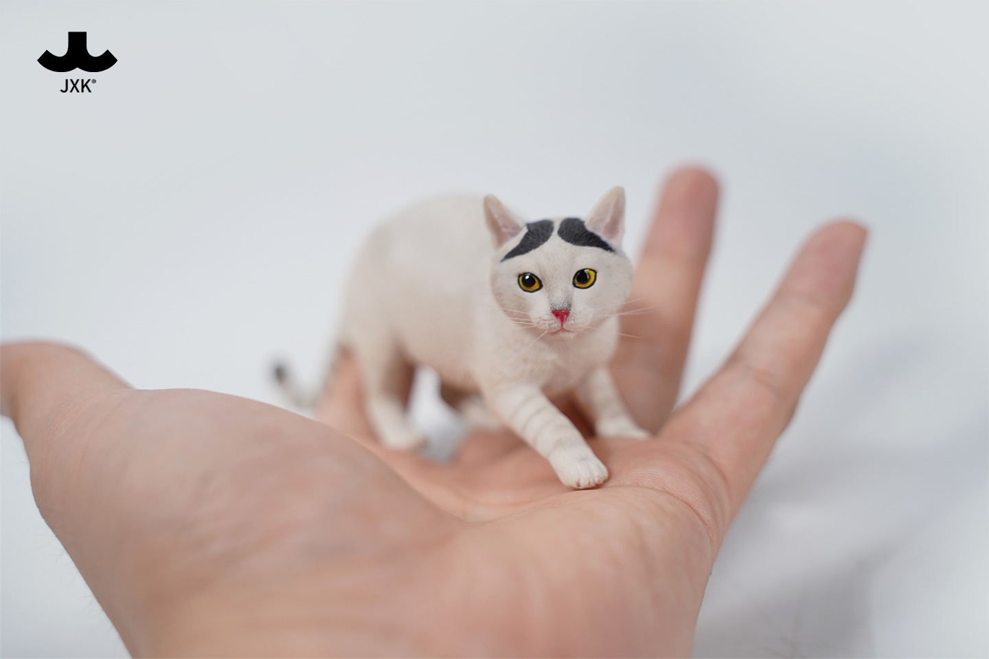 [สั่งจอง] JXK JXK179 1/6 : Cat 3.0