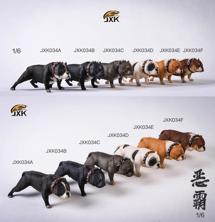 [สั่งจอง] JXK studio JXK034 A/B/C/D/E/F 1/6 : American Bully Pitbull Dog