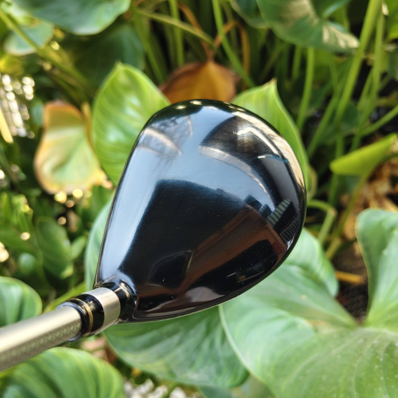 FW 5+ ROMARO RAY TYPE R – TOUR SELECT ⛳ หน้าไม้ไทเทเนียม Forged Cup Face ที่บางเป็นพิเศษ