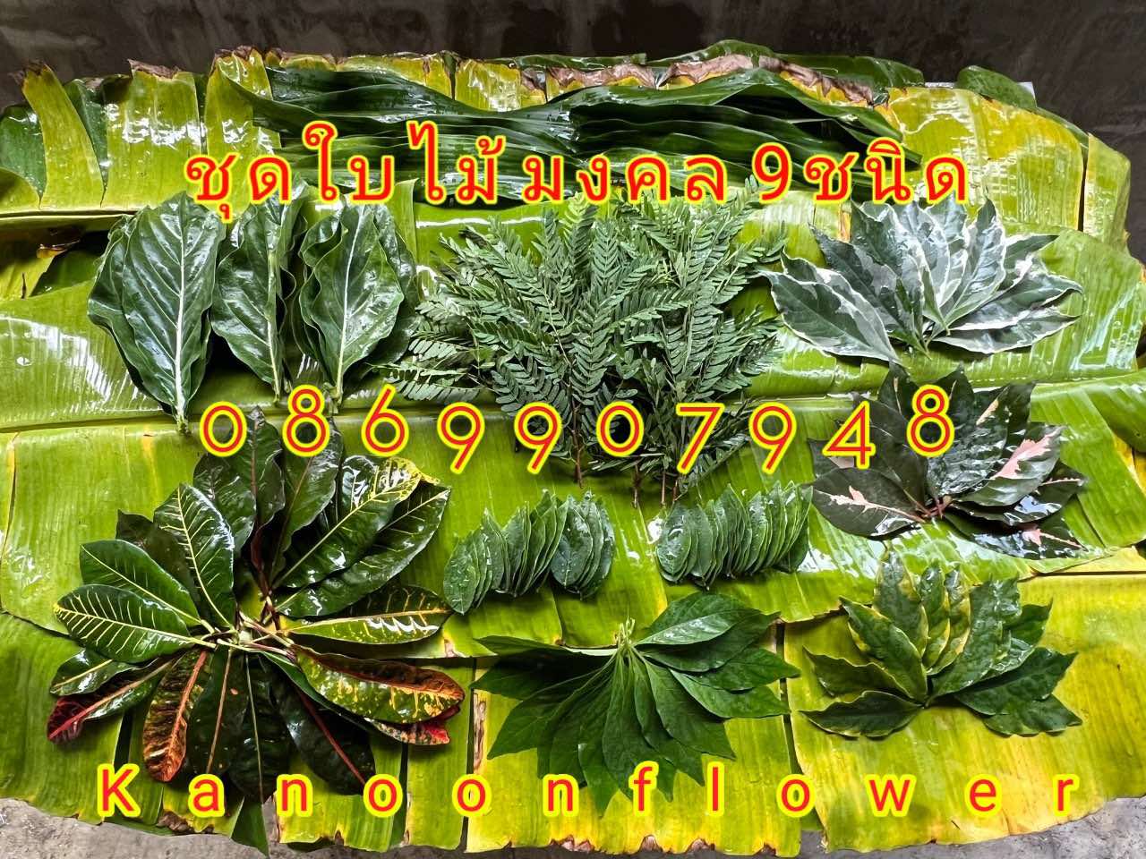 ชุดใบไม้มงคล9ชนิด