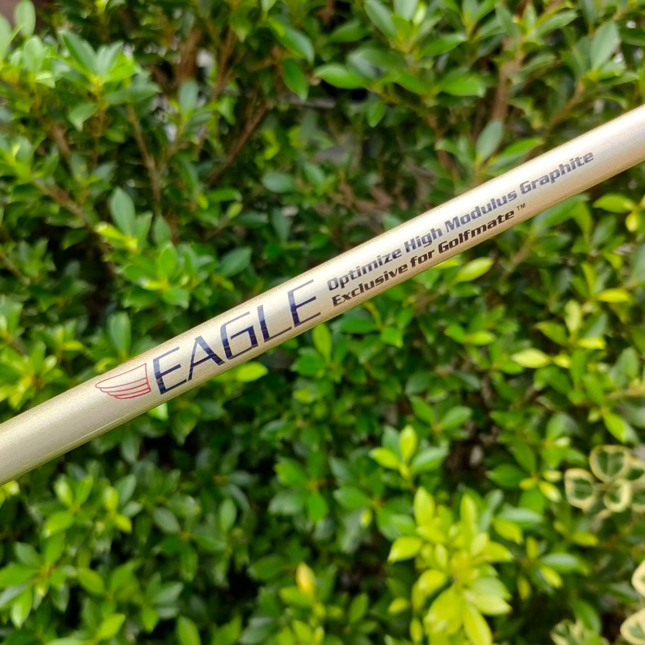 ไม้กอล์ฟครบชุด GOLF MATE EAGLE พร้อมออกรอบได้เลย สภาพนางฟ้า ไม้ยังอยู่ในซีนทั้งหมด แกะแค่พัตเตอร์ มีหัวไม้ครบ 1 3 5 ชุดเหล็ก 4-9 PW SW ตีง่าย น้ำหนักเบา มือใหม่ มือกลาง ต้องการไม้ครบชุด พลาดไม่ได้
