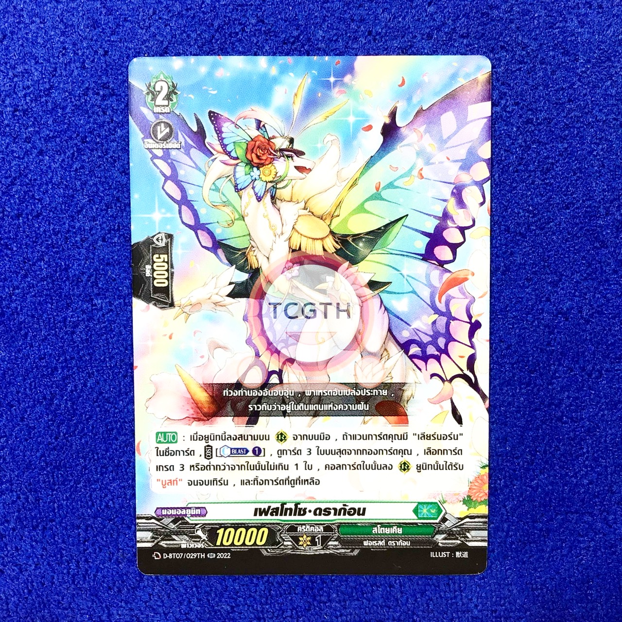 เฟสโทโซ•ดราก้อน