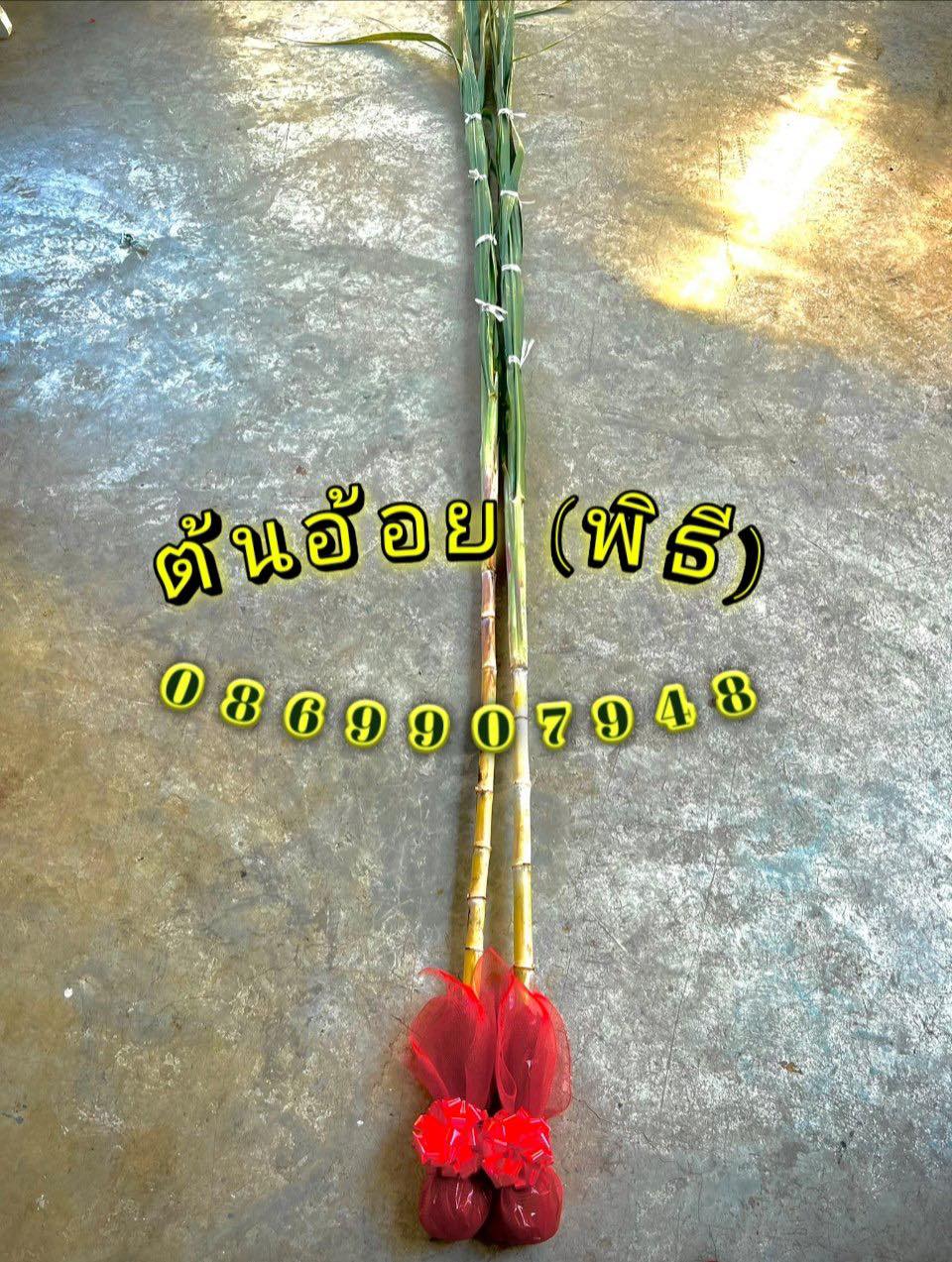 ต้นอ้อย ต้นกล้วย (ขันหมาก) (ทรงเครื่อง)