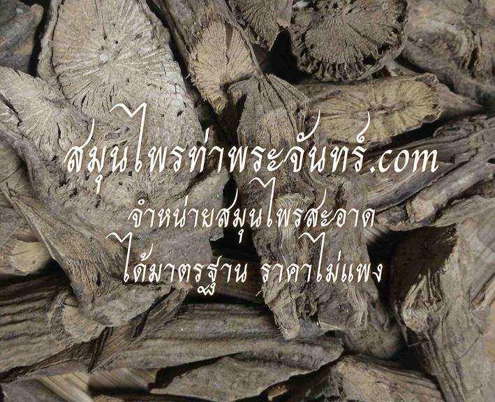 สะค้านแห้ง
