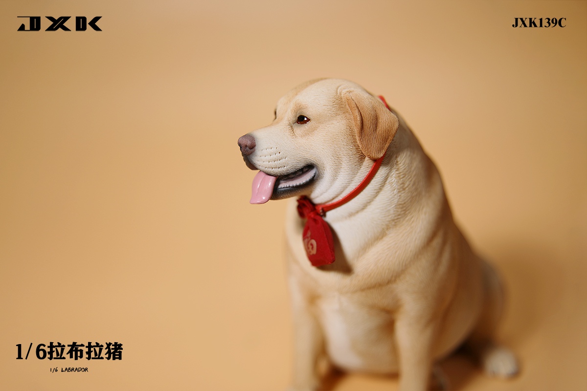 [สั่งจอง]JXK 1/6 : Labrador