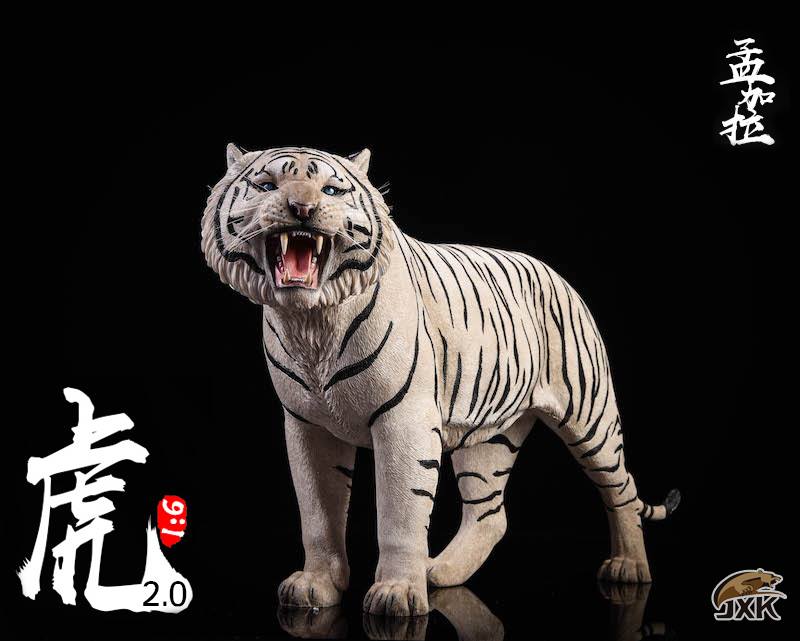 [สั่งจอง]JXK.Studio 1/6 JXK020A yellow Bengal tiger & JXK020B white Bengal tiger