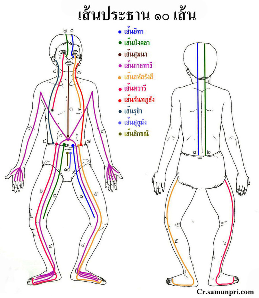 1 hrs Massage catching / นวดจับเส้น 👍นวดแก้อาการ 📌นวดจับเส้น 📌เอ็นเข้าสะบัก📌ไหล่ติด📌ปวดหลัง📌ชา📌ปวดขา📌ปวดสลักเพชร📌ท้องอืด📌ไมเกรน📌คอตกหมอน 📌หมอนรองกระดูกทับเส้นป