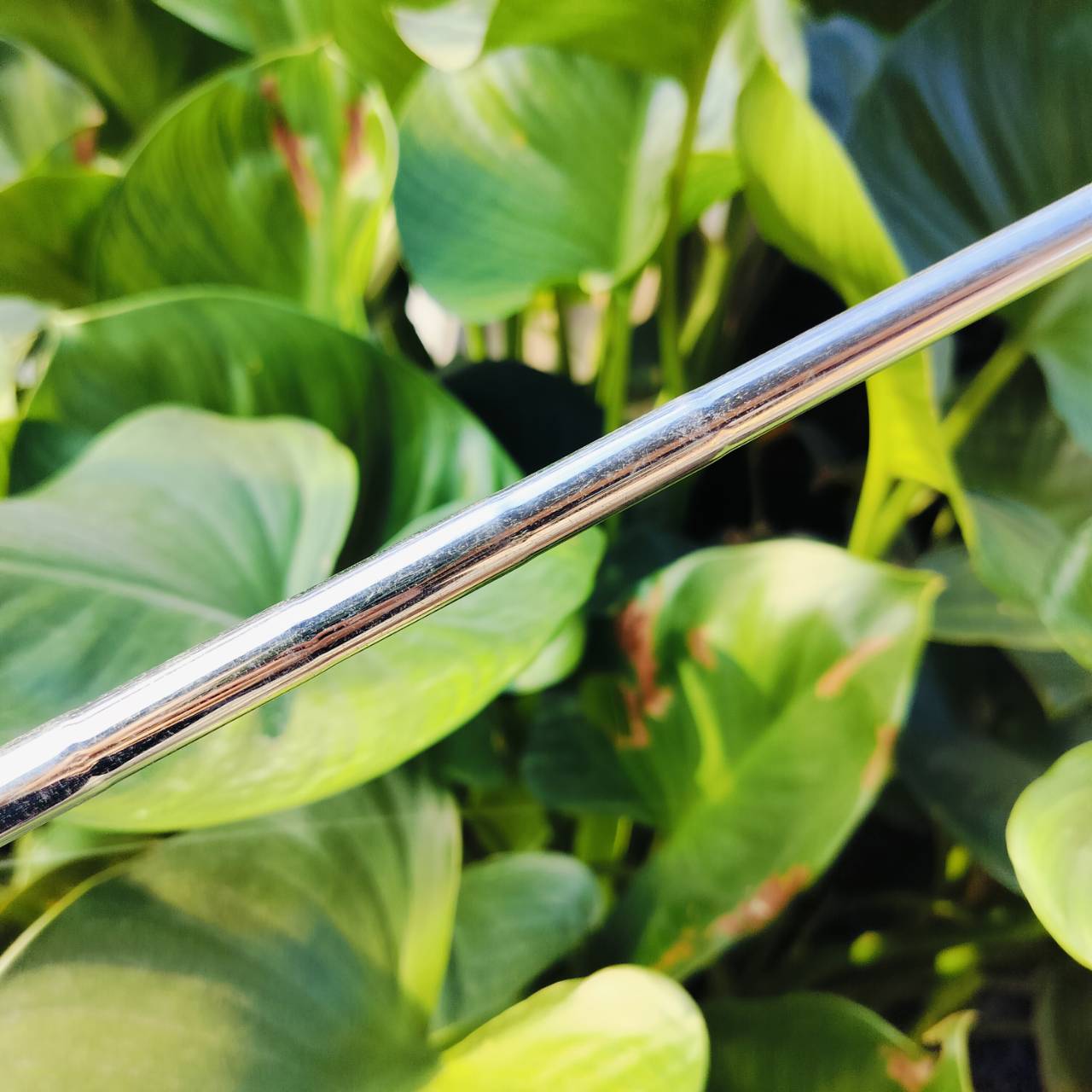 Cleveland Byron Nelson 50Th Becu Beryllium Copper RH Wedge 56° วัสดุทองแดงระดับพรีเมี่ยมสุดๆๆ หายากมากๆ ถ้าขัดขึ้นมาสวยจัดๆ ก้าน WEDGE FLEX ไม้กอล์ฟพรีเมี่ยมมือสอง ของแท้ By NakaraLuxurious