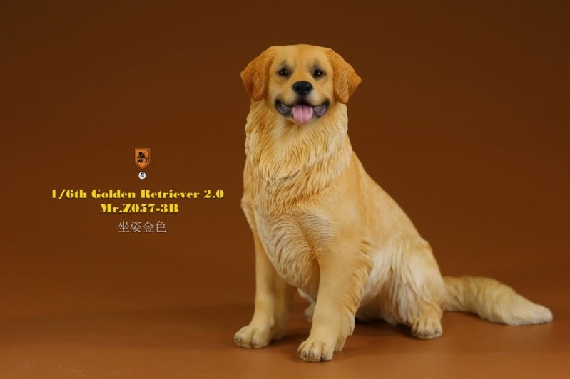 [สั่งจอง]Mr.Z MRZ057 1/6 : Golden Retriever 2.0