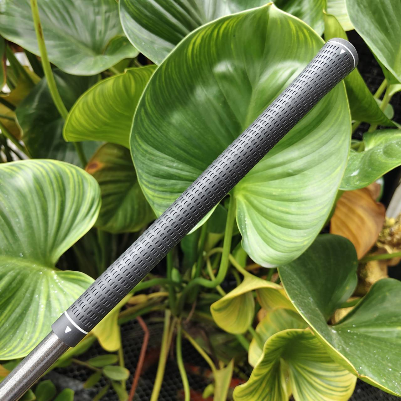 3W Maruman MAJESTY ระดับ "Hi-End" หรือ "Super Premium" ของวงการกอล์ฟญี่ปุ่น