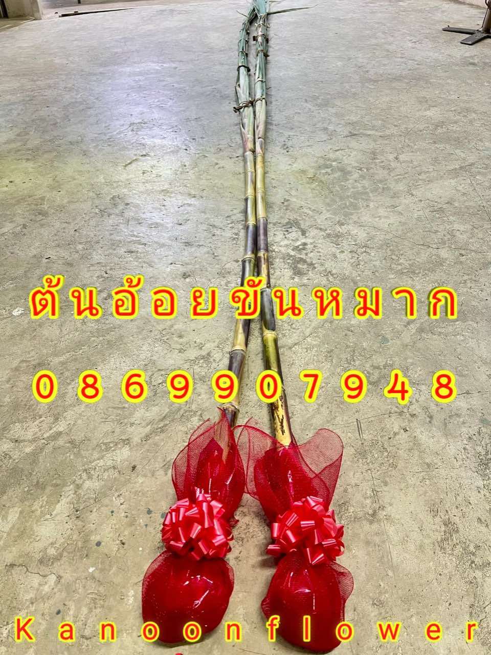 ต้นอ้อยต้นกล้วย (ขันหมาก)