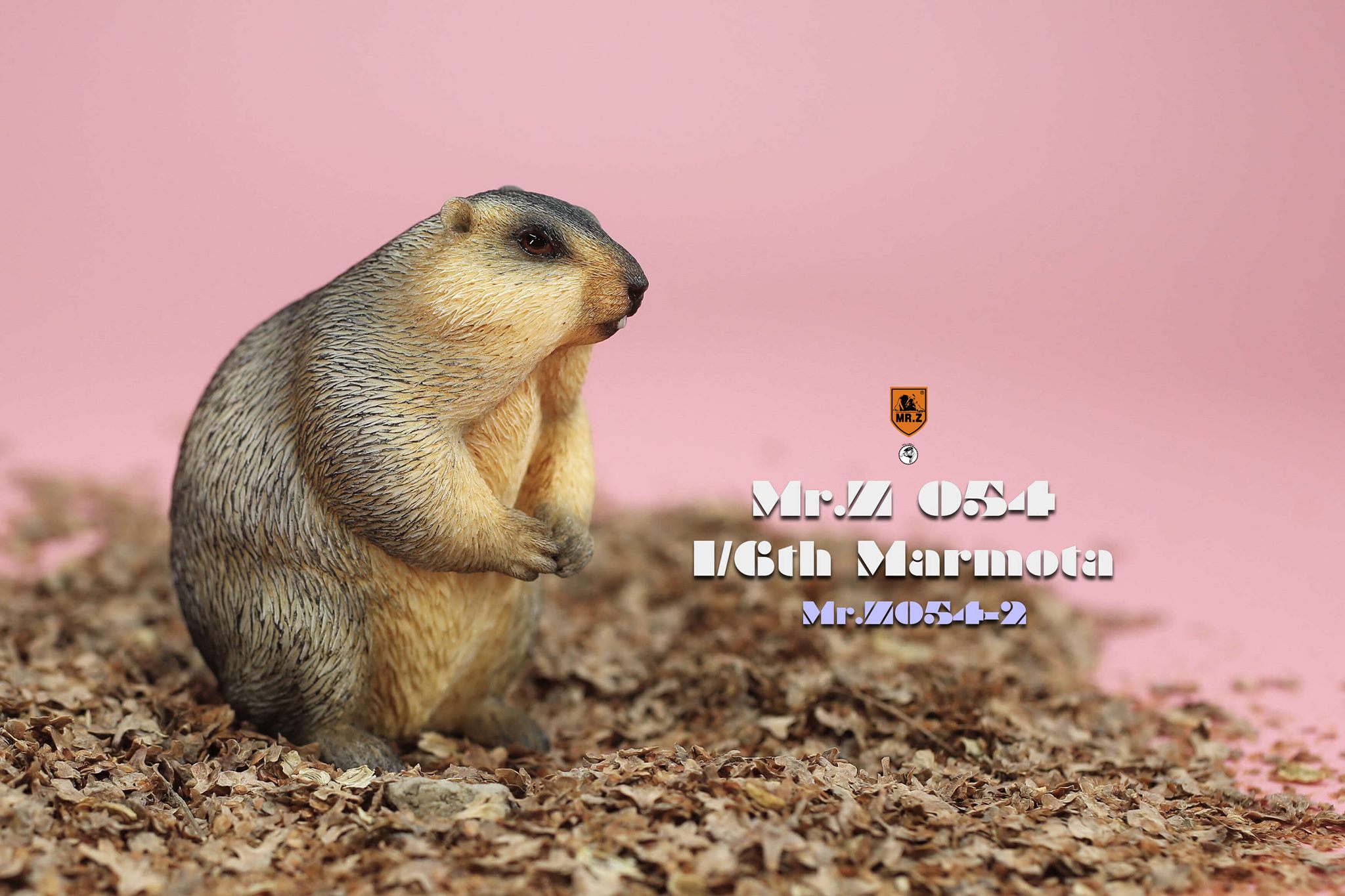 [สั่งจอง]Mr.Z MRZ054 1/6 : Animal Model - Marmota