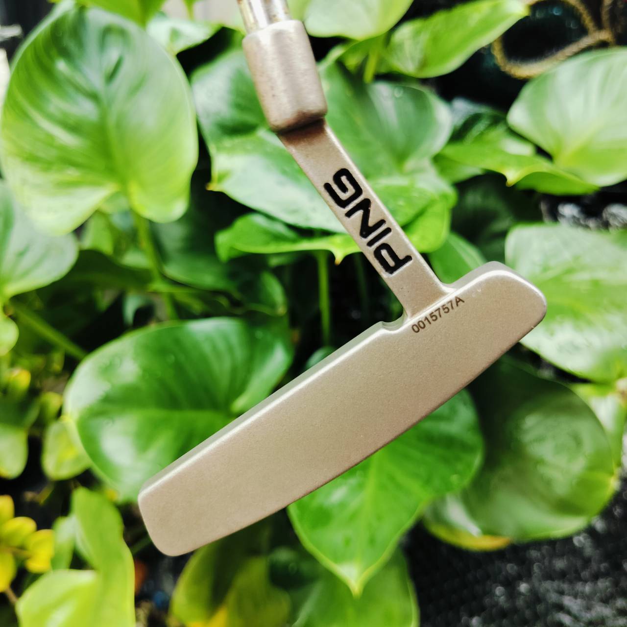 PUTTER PING G2 ANSER ความยาว 35 นิ้ว สภาพสวยมาก เดิมๆ กริพเดิมสวยเลยค่ะ ไม้กอล์ฟมือสอง ของแท้ By NakaraLuxurious