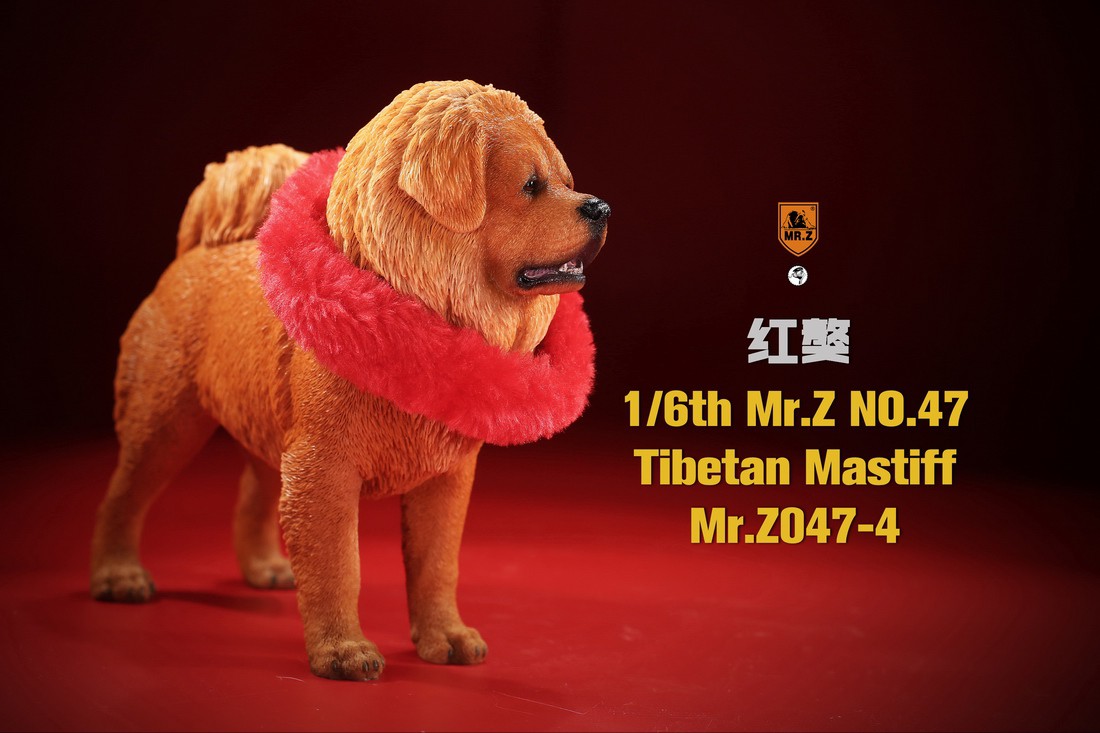 [สั่งจอง] MR. Z Animal Model MRZ047 1/6th Tibetan Mastiff