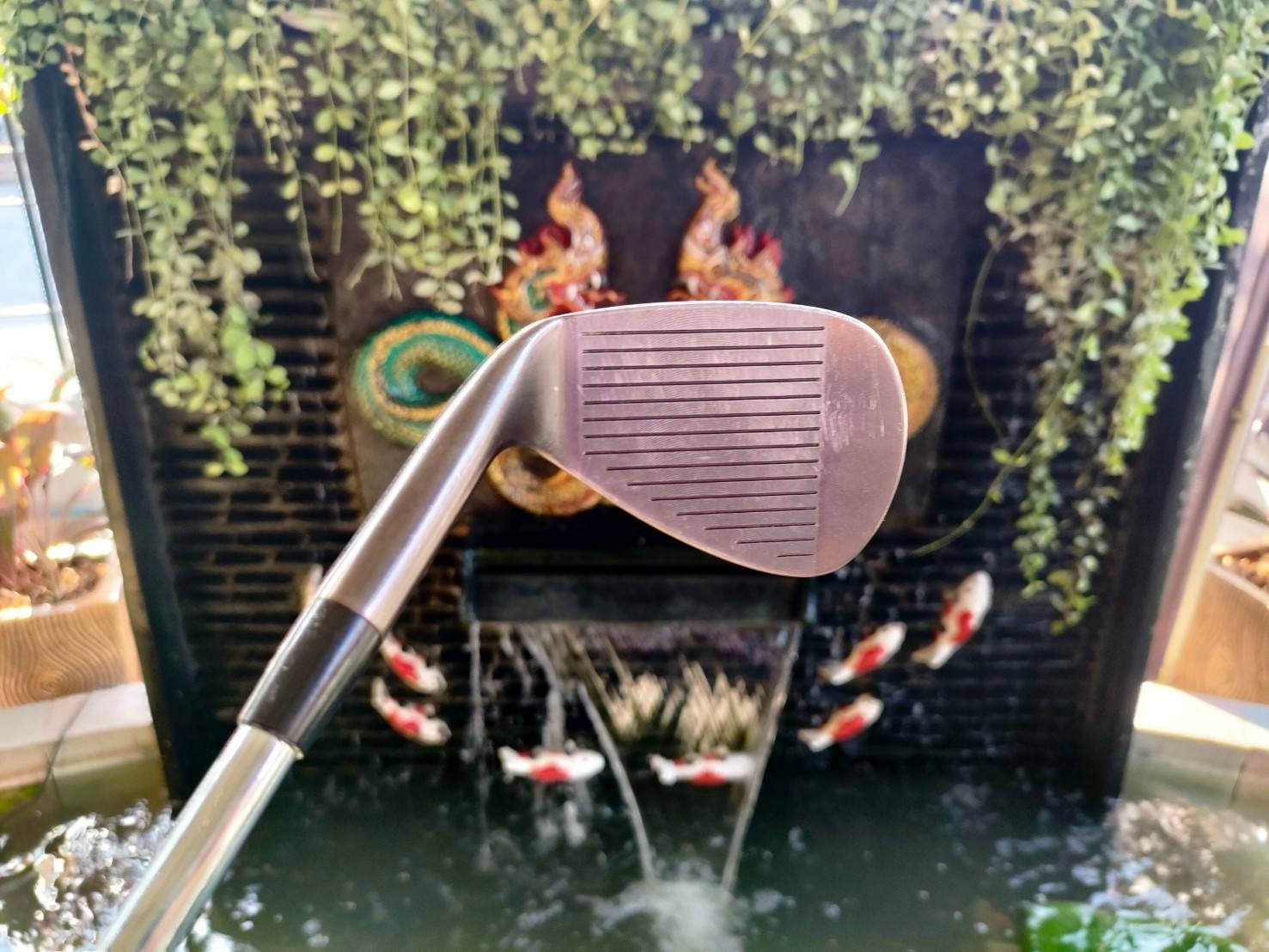 WEDGE EON PRIDE LIMITED FORGED องศา 51