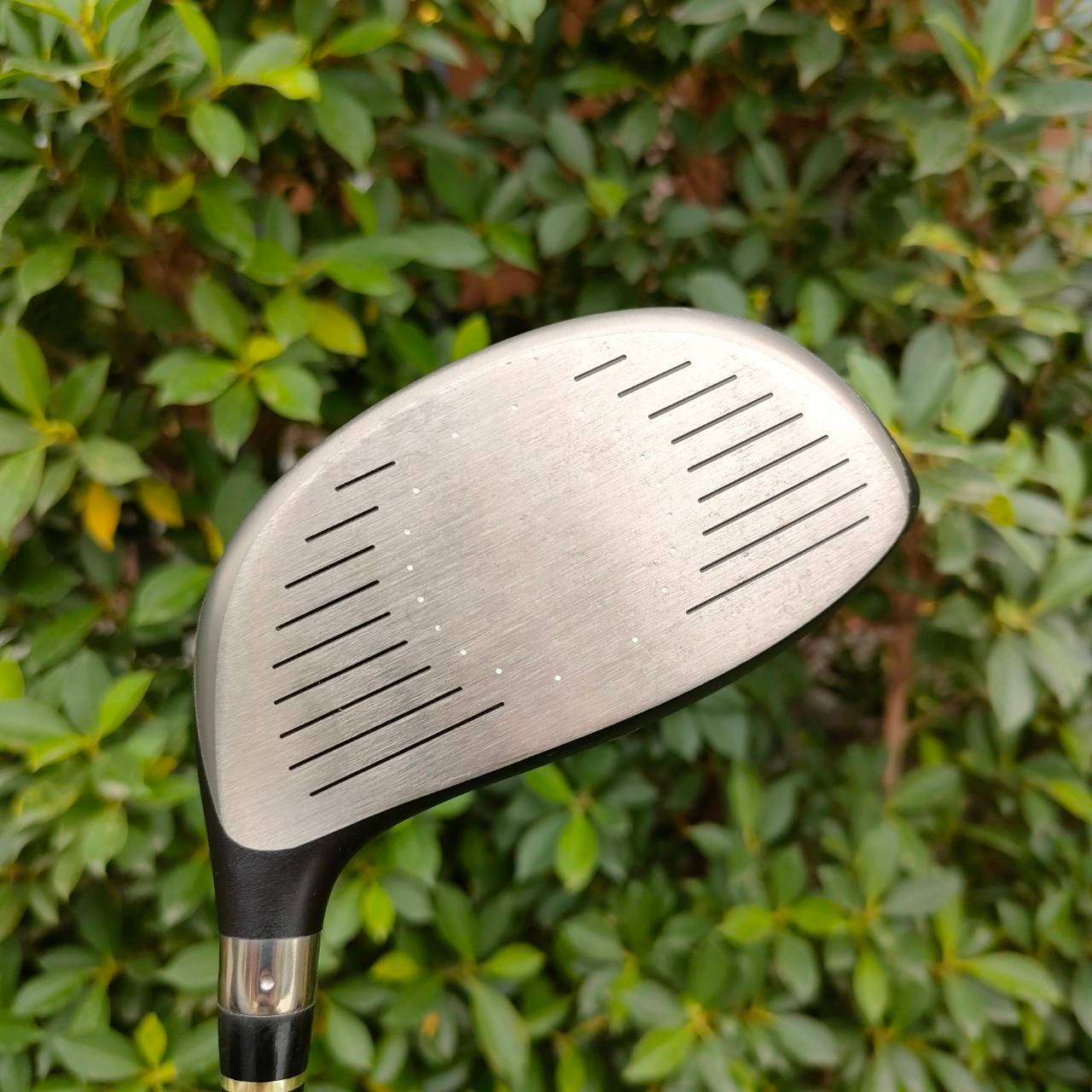 DRIVER NIKE SQ SUMO 5000 องศา 9.5 ก้าน DIAMANA FLEX S