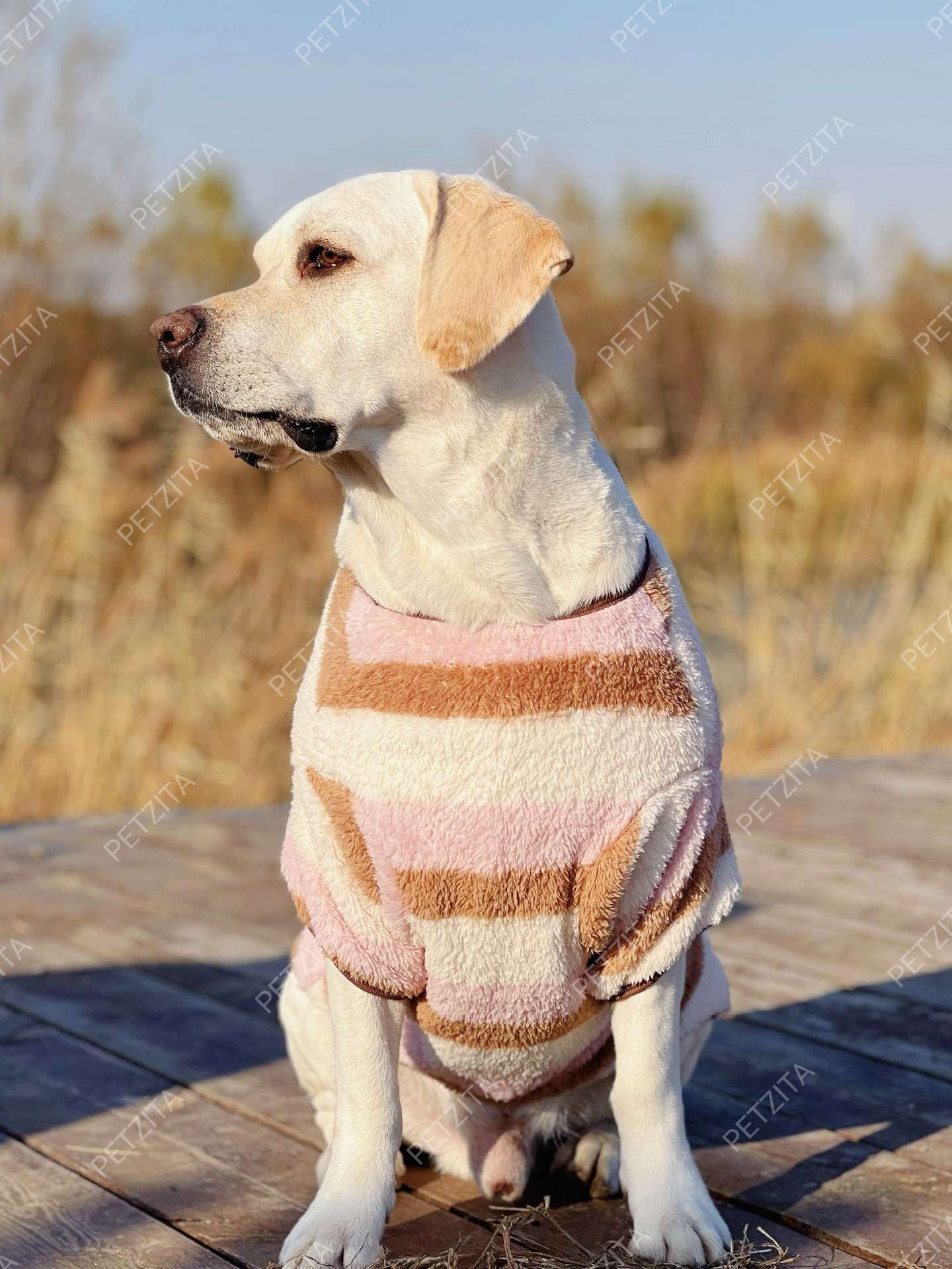 🇹🇭พร้อมส่ง🇹🇭 🐶🐕 เสื้อผ้าสำลีขนปุยนุ่มนิ่ม สำหรับ สุนัขพันธุ์กลาง ถึง หมาใหญ่