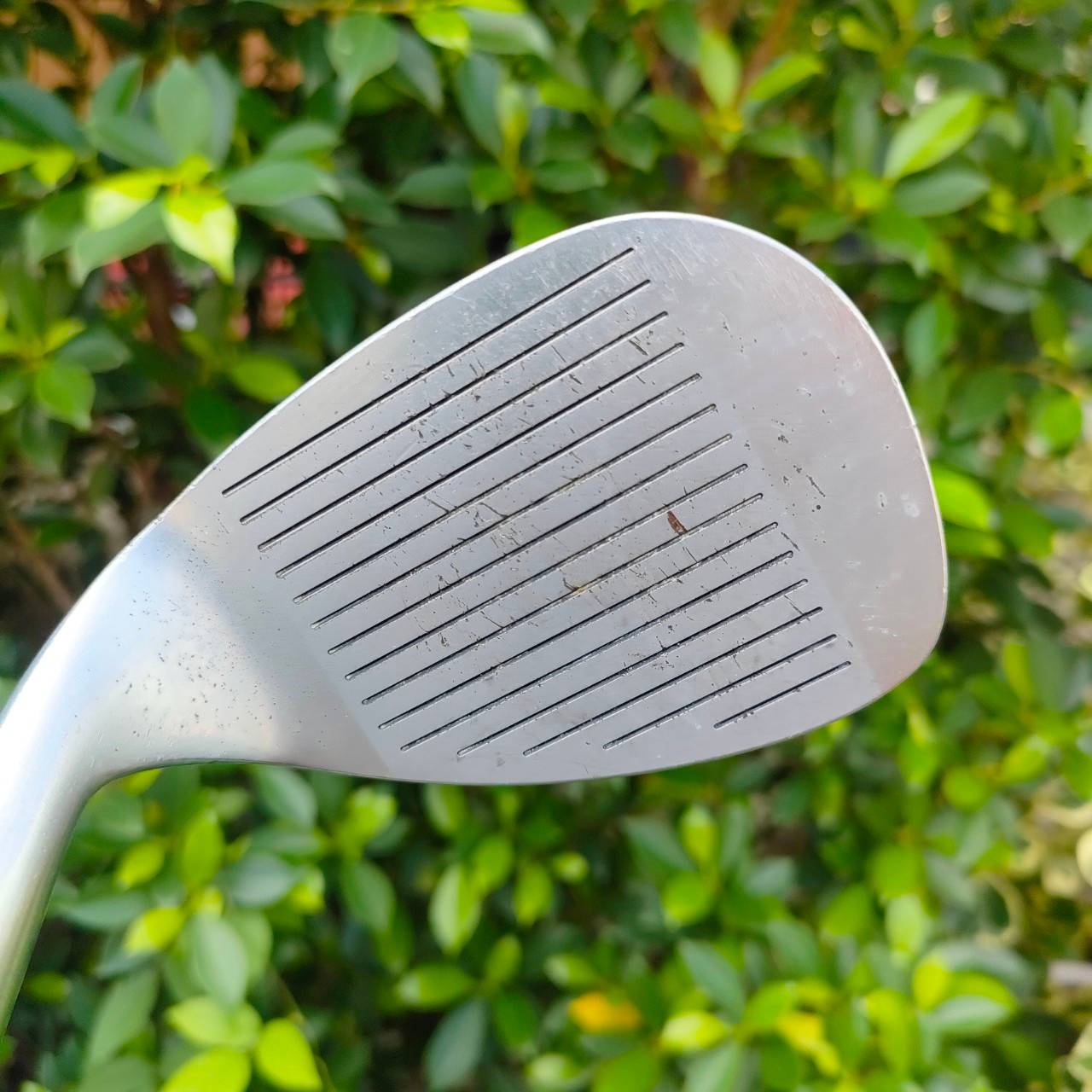 SW HONMA LB-737 PRO SPECIAL องศา 56 ก้าน NEW SUPER FERRITE CARBON FLEX R-1 พรีเมี่ยมญี่ปุ่น