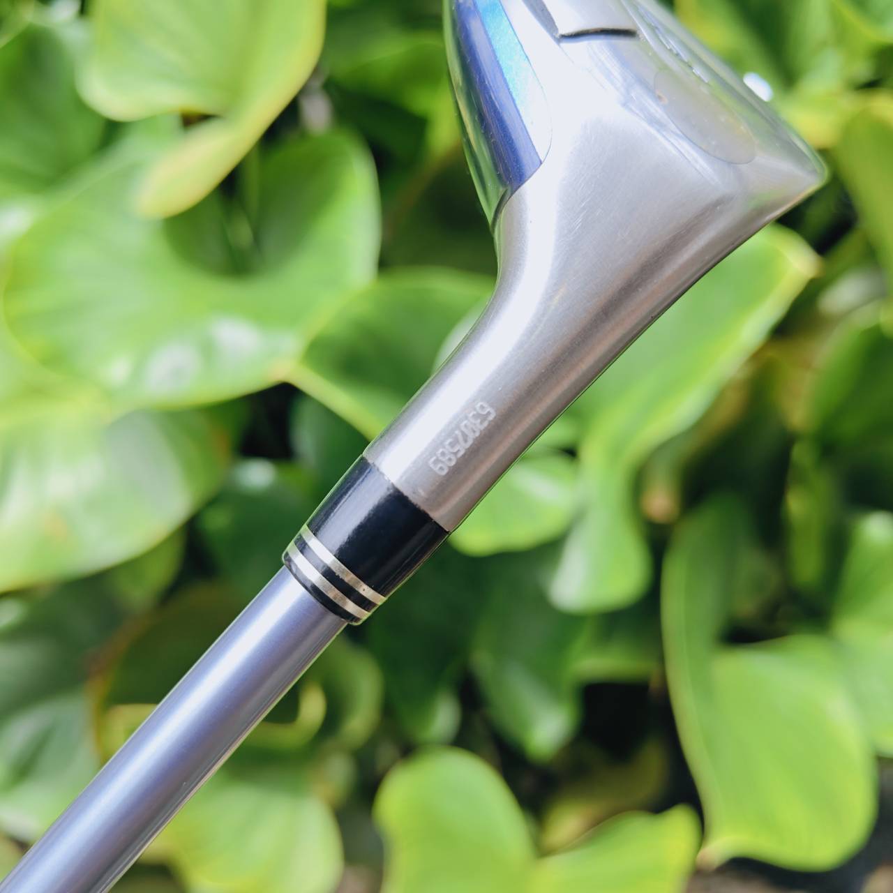 ผู้หญิง U3 KING COBRA BAFFLER TWS ไฮบริดในตำนานที่ขึ้นชื่อว่า “ตีง่ายที่สุด” จาก KING COBRA