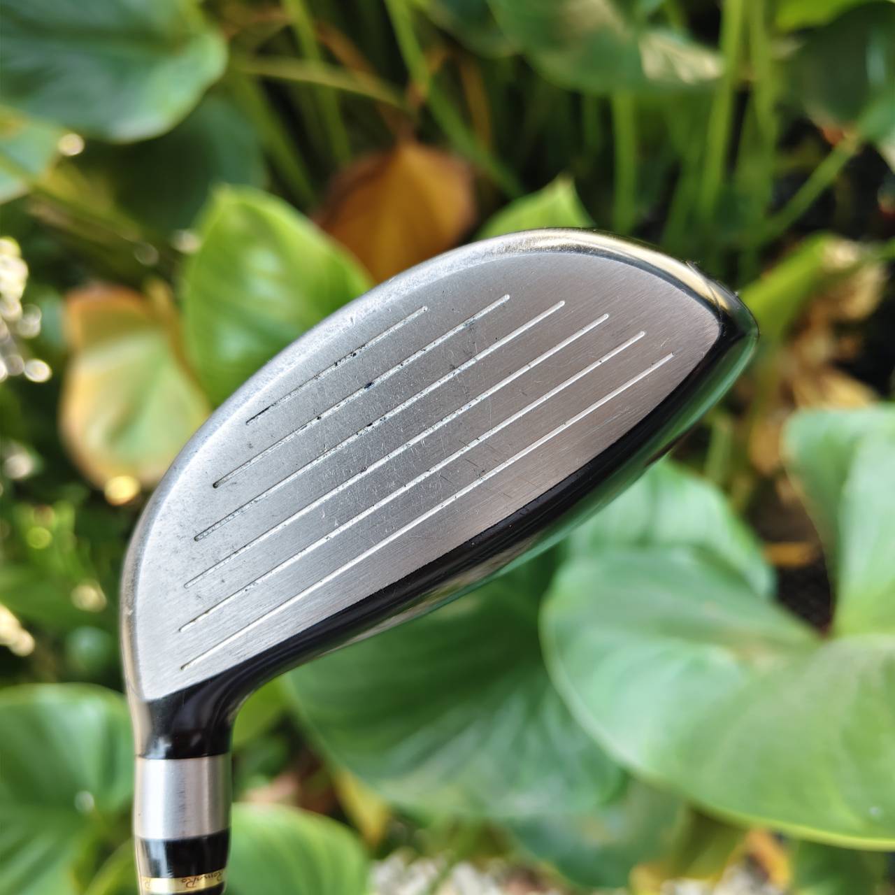 FW 5+ ROMARO RAY TYPE R – TOUR SELECT ⛳ หน้าไม้ไทเทเนียม Forged Cup Face ที่บางเป็นพิเศษ