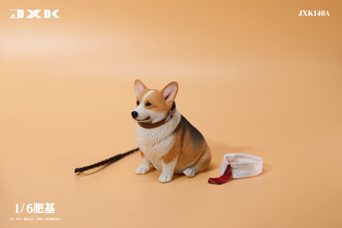 [สั่งจอง]JXK 1/6 : Fat Welsh Corgi Pembroke