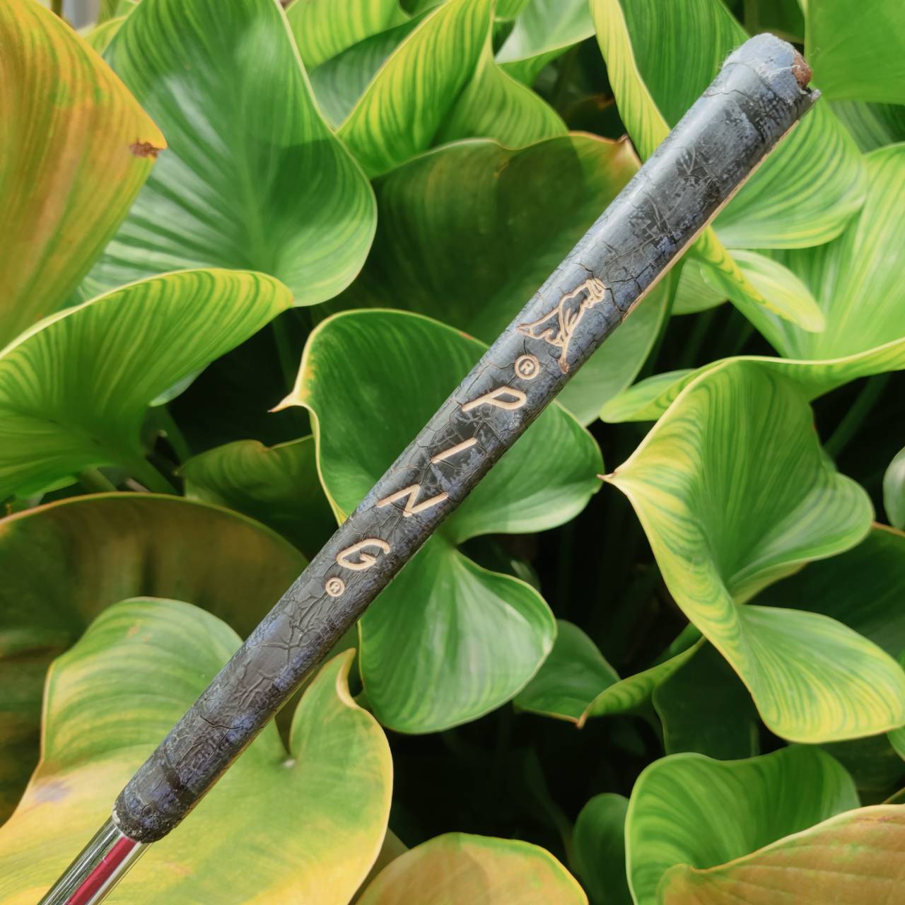 PUTTER PING PAL 6 – BECU (Beryllium Copper) ผลิตจากทองแดงแท้ทั้งชิ้น!