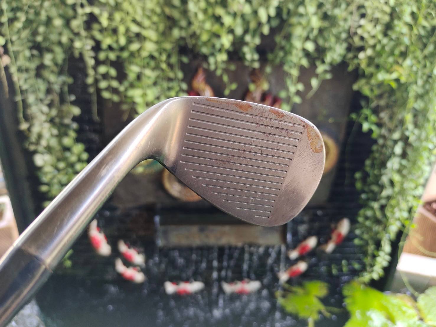 WEDGE CLEVELAND REG588 องศา 56