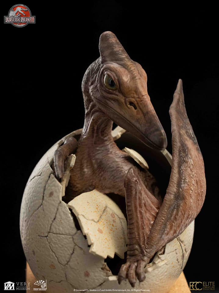 [สั่งจอง]ECC : Hatchling Pterosaur (Jurassic Park)