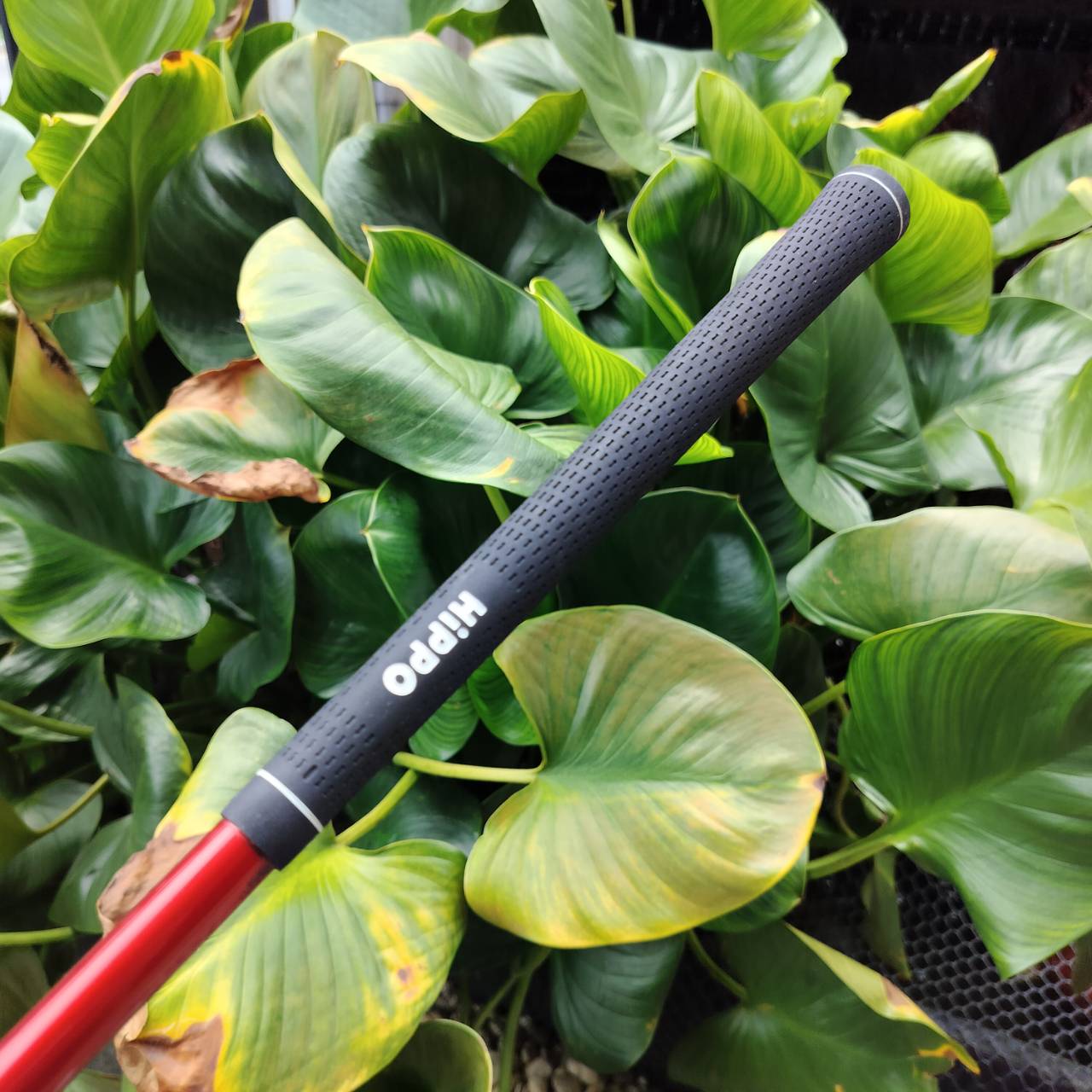 FULLSET HIPPO HIPTEC เป็นรุ่นที่ดีที่สุดของ HIPPO ตีดีมาก ตีง่ายตีไกลค่ะ!!! หัวไม้ได้ถึง 4 หัว ไม้กอล์ฟพรีเมี่ยมมือสอง ของแท้ By NakaraLuxurious