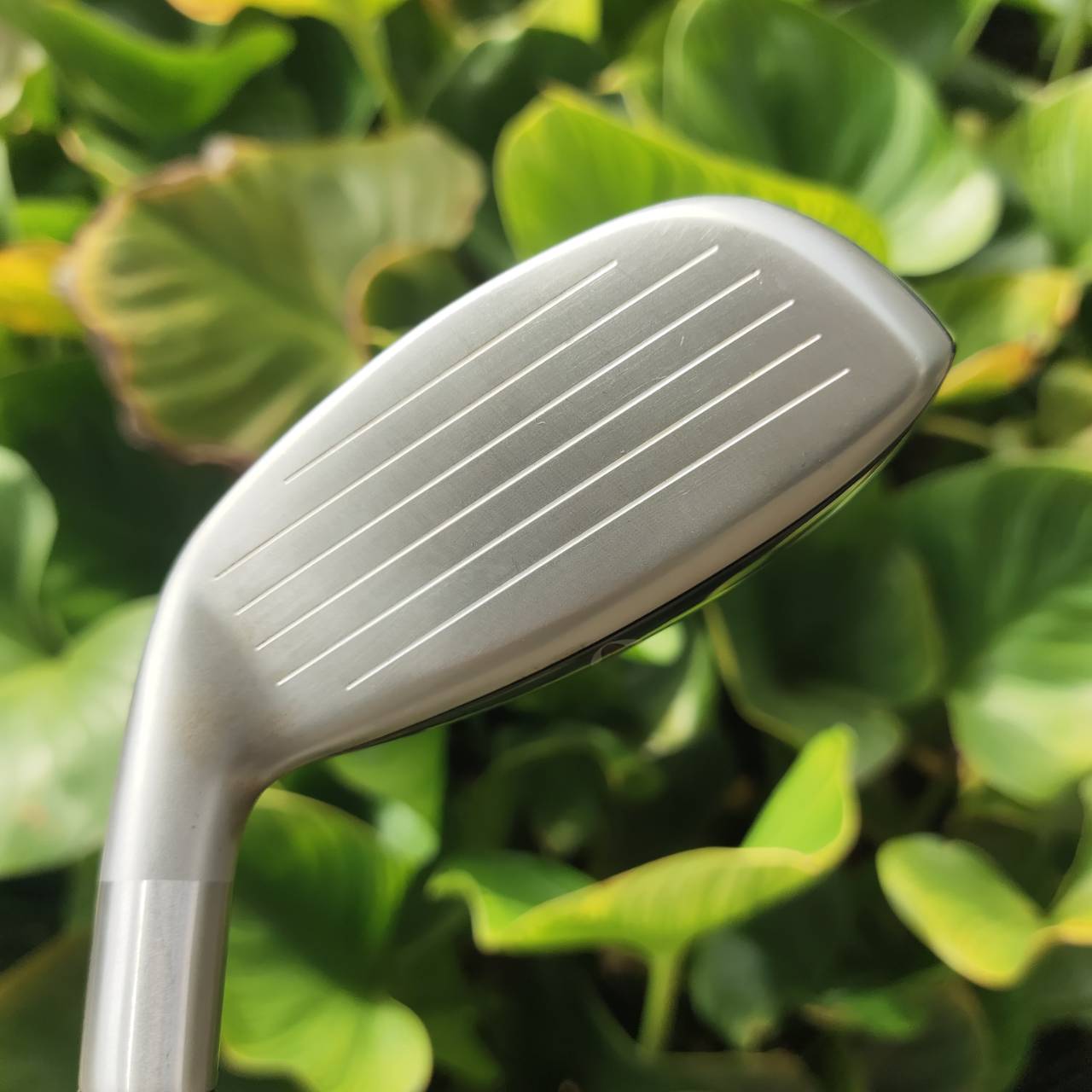 U3 Cleveland LAUNCHER – 20.5° ตีลอยง่ายมาก ควบคุมระยะสม่ำเสมอ