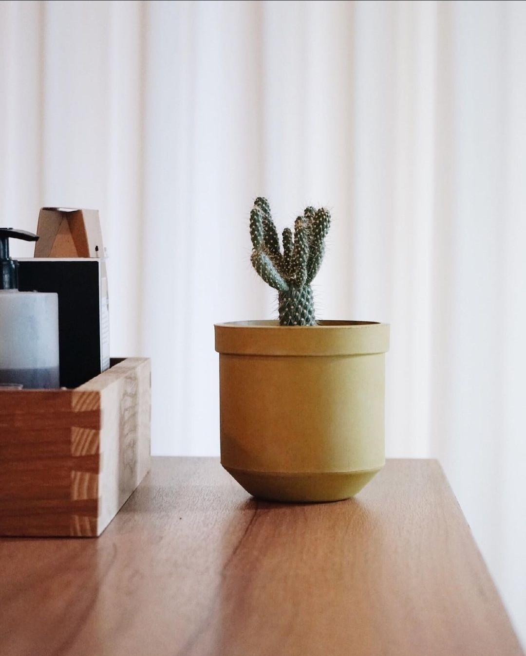 Rubber Pot I กระถางต้นไม้-กระถางใส่ของยางซิลิโคน