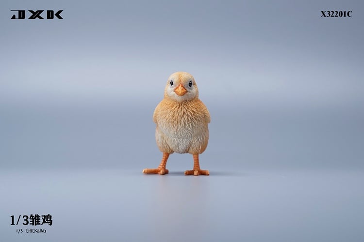 [สั่งจอง]JXK : Scottish Fold/Chckling/Duckling