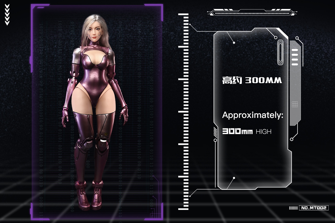 [สั่งจอง]COOMODEL x CTCOSTUDIO 1/6 : MATRIX - BATTLE ANGEL